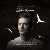 دانلود آهنگ محمدرضا حضورى حسرت پرواز